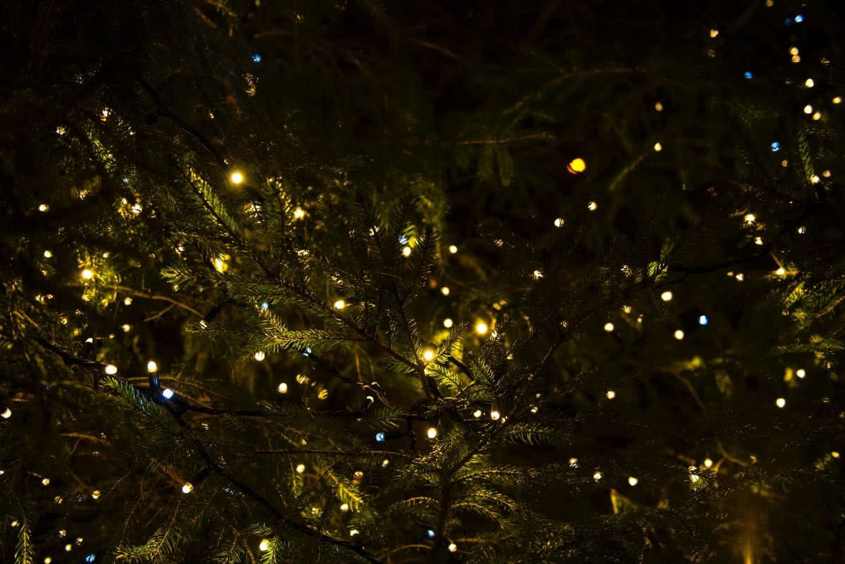 joanna-kosinska-173573-unsplash